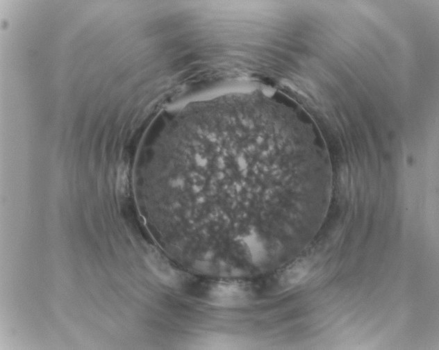 X0000088430177200705221256