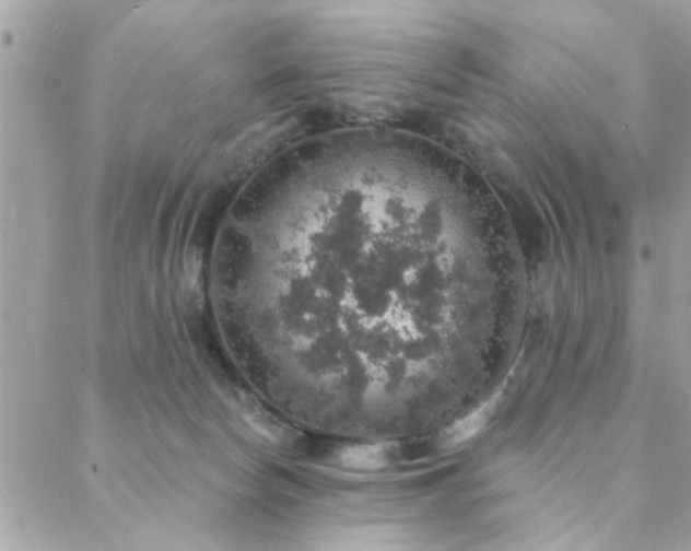 X0000088430178200705221256