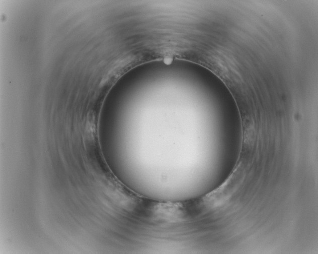 X0000088430179200705221256