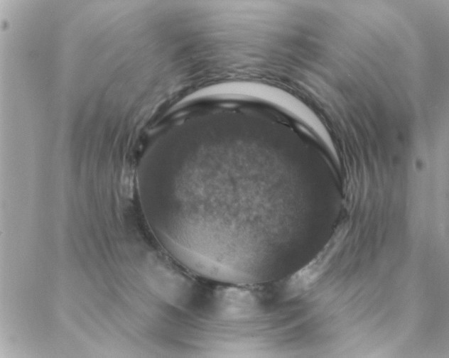 X0000088430180200705221256