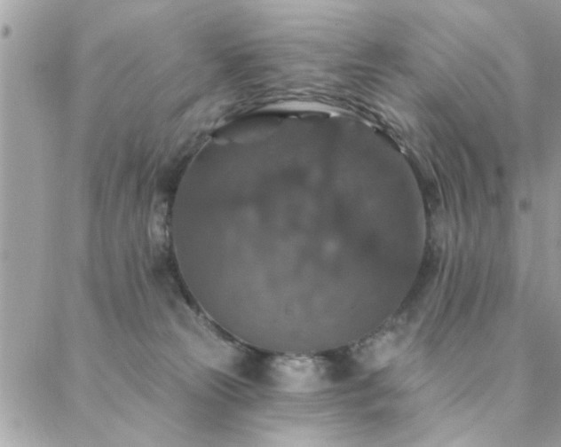 X0000088430181200705221256