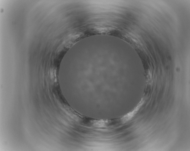 X0000088430182200705221256