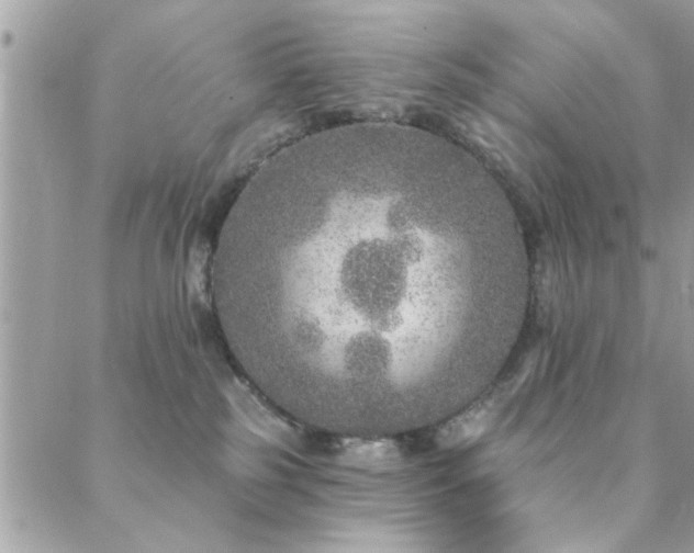 X0000088430185200705221256