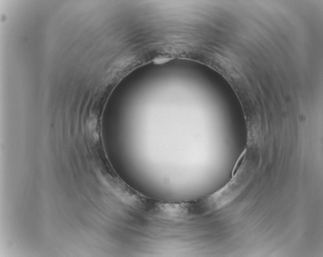 X0000088430187200705221256