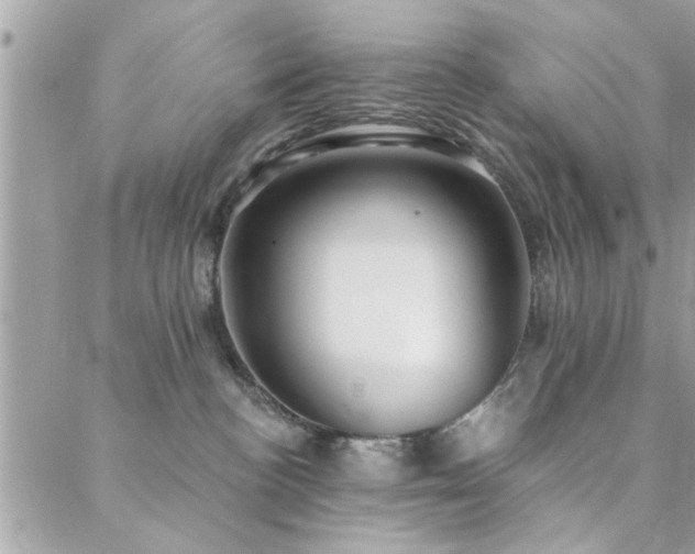 X0000088430188200705221256