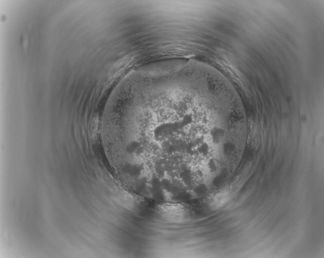 X0000088430189200705221256