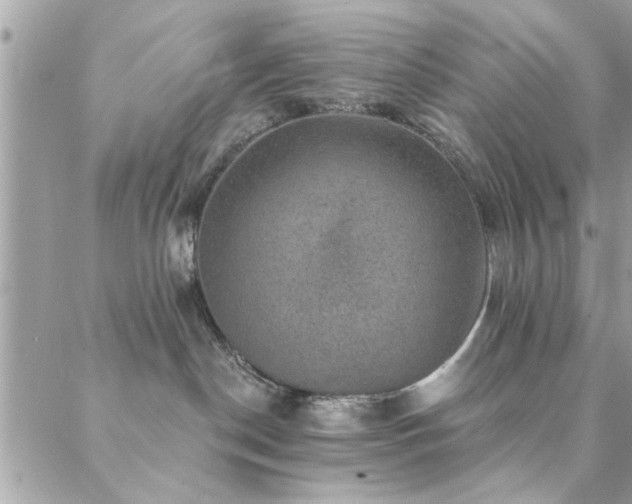 X0000088430190200705221256