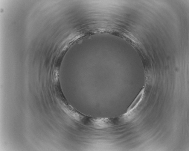 X0000088430191200705221256