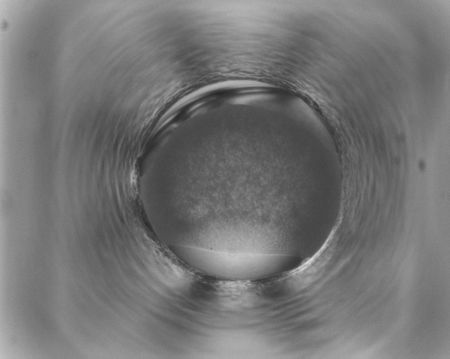 X0000088430192200705221256