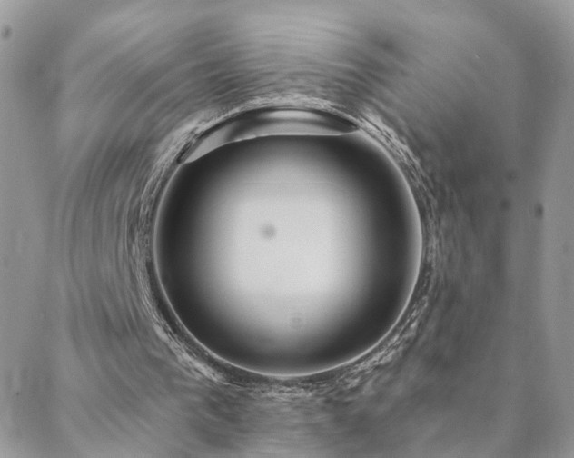 X0000088430193200705221256