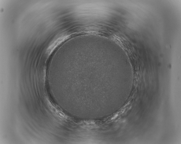 X0000088430194200705221256