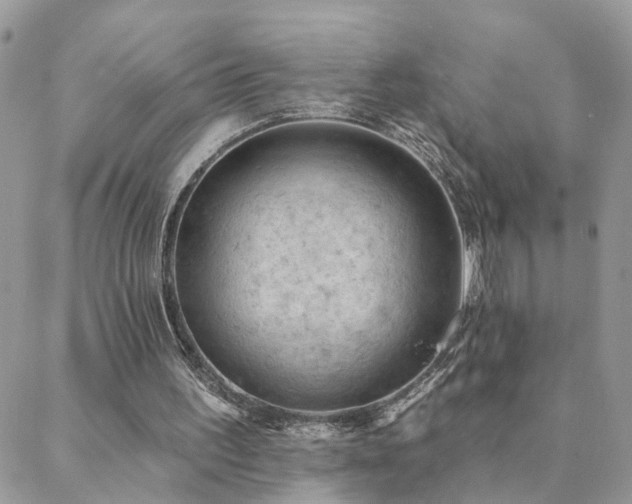 X0000088430195200705221256