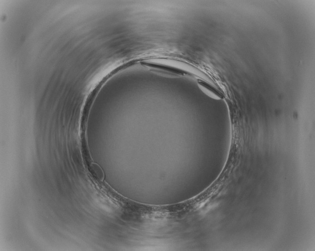 X0000088430196200705221256