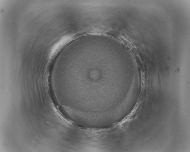 X0000088430197200705221256