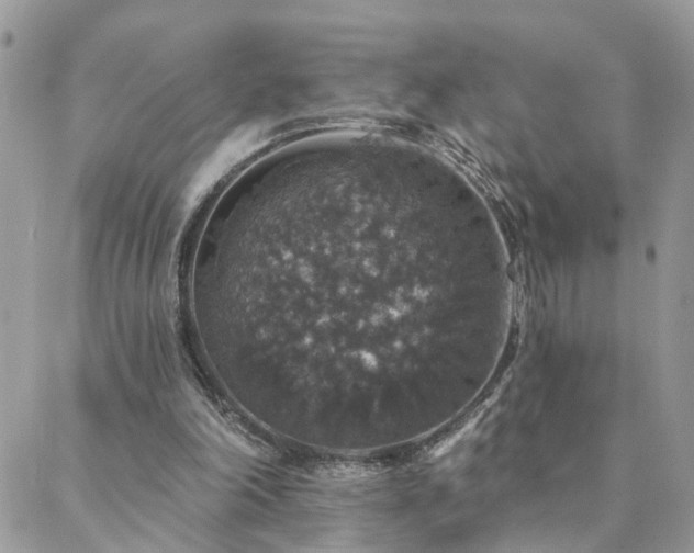 X0000088430198200705221255