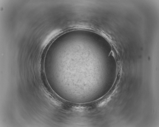 X0000088430199200705221255