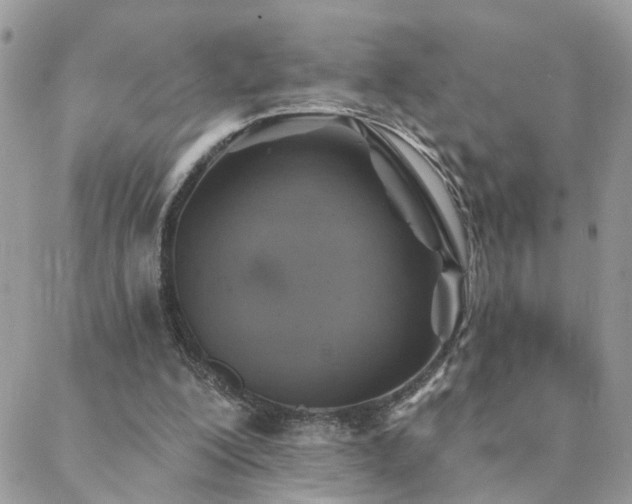 X0000088430200200705221255