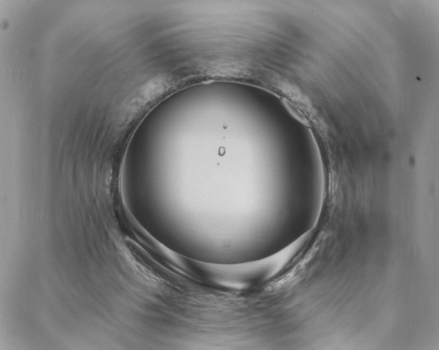 X0000088430201200705221255