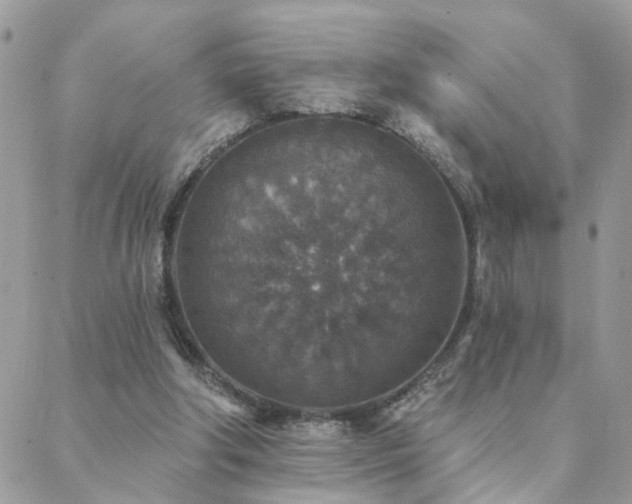 X0000088430202200705221255