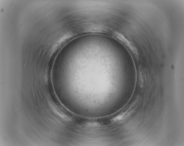 X0000088430203200705221255