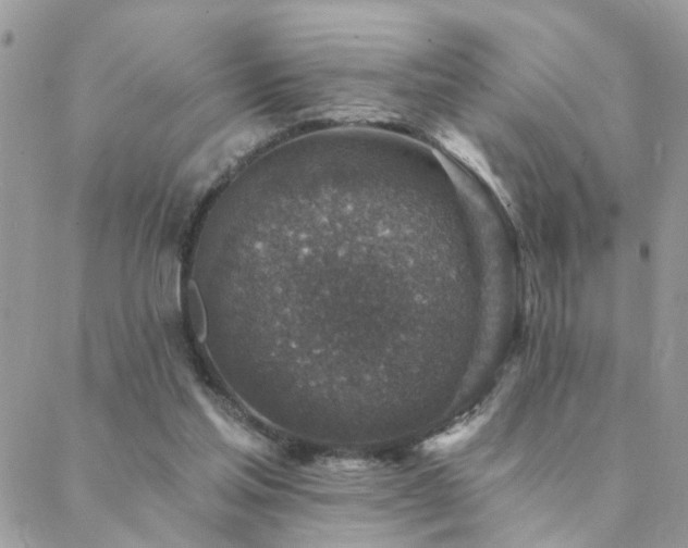 X0000088430205200705221255