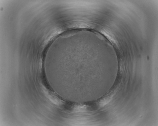 X0000088430206200705221255