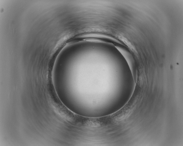 X0000088430207200705221255