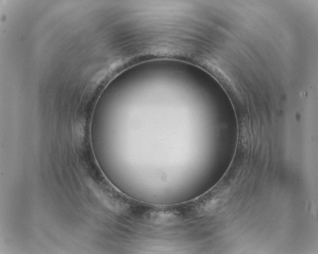 X0000088430208200705221255