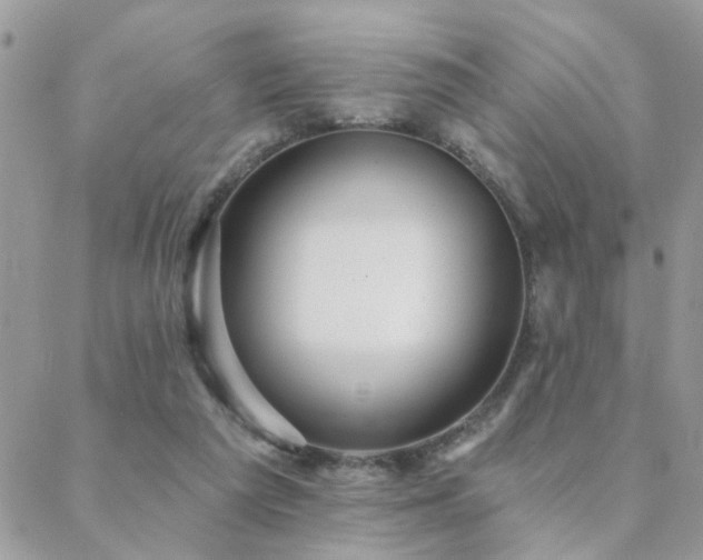 X0000088430209200705221255