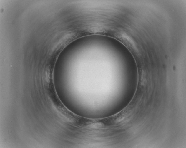 X0000088430210200705221255