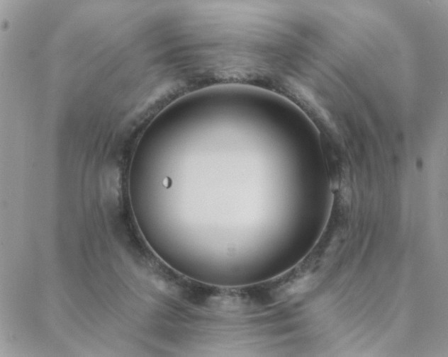 X0000088430211200705221255