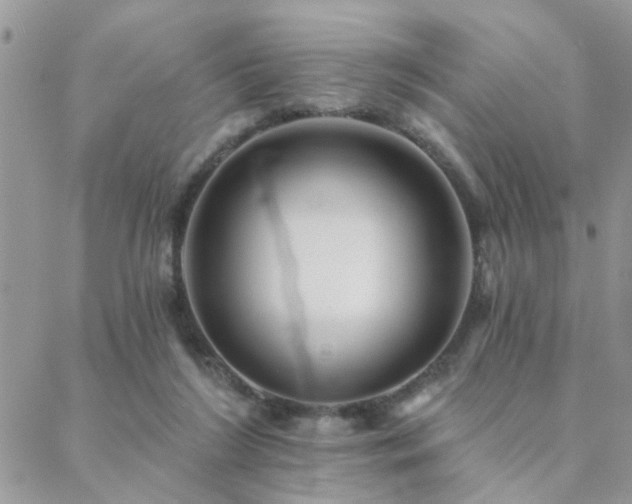 X0000088430212200705221255