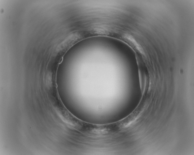 X0000088430213200705221255