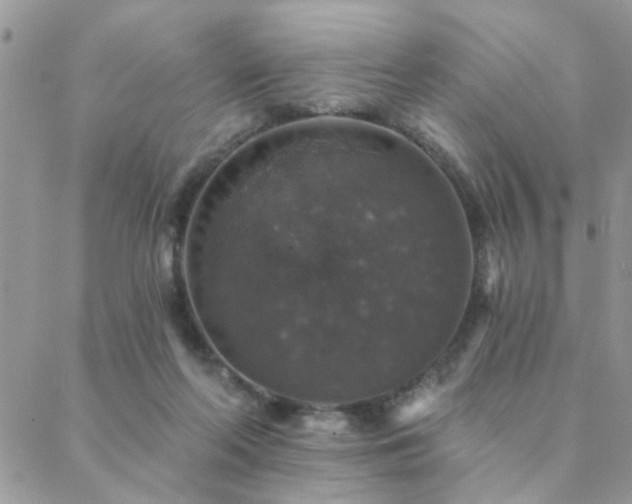 X0000088430214200705221255