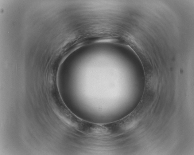 X0000088430215200705221255