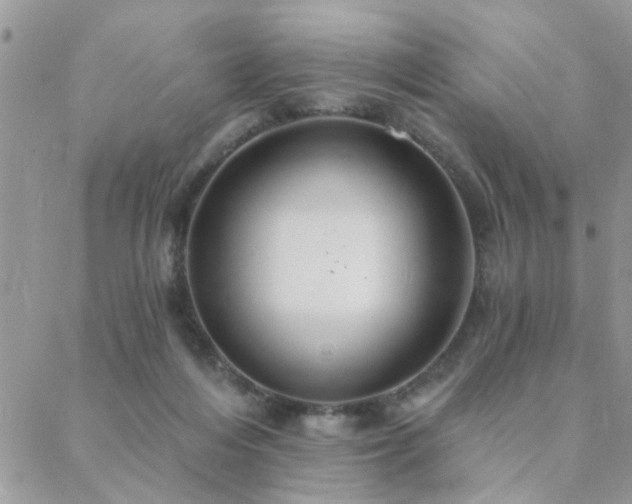 X0000088430216200705221255