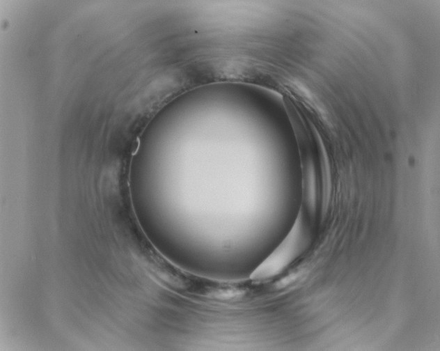 X0000088430217200705221255