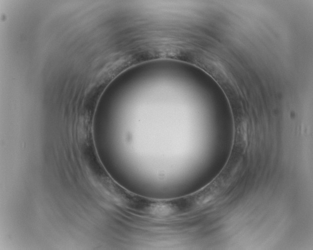 X0000088430218200705221255