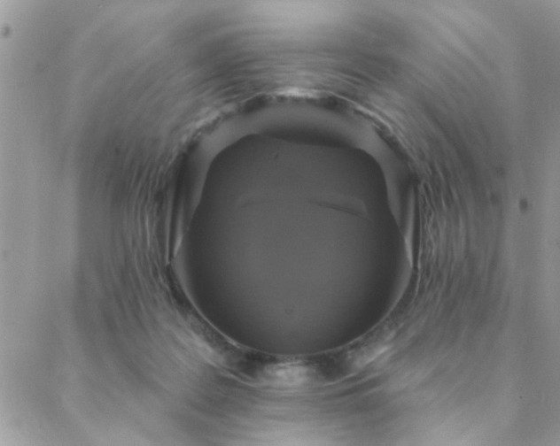 X0000088430219200705221255