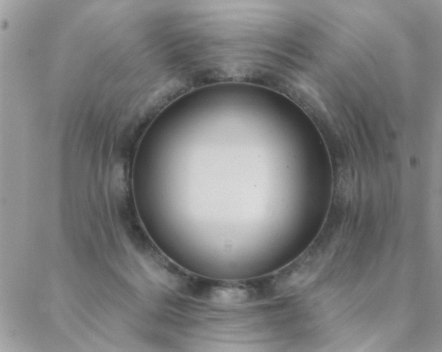 X0000088430220200705221255