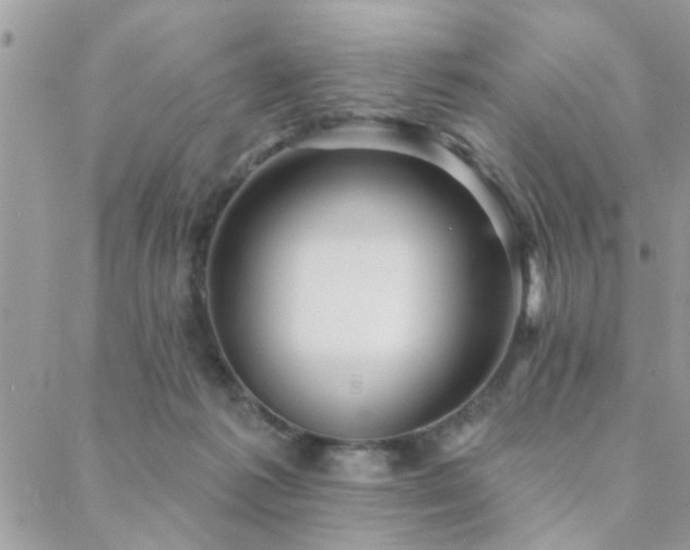 X0000088430221200705221255