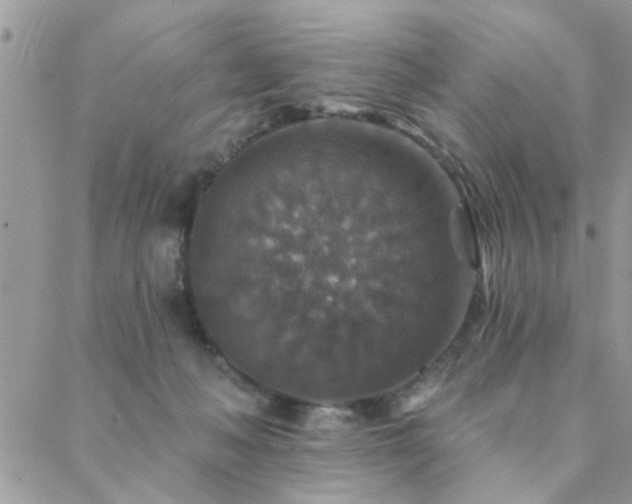 X0000088430222200705221255