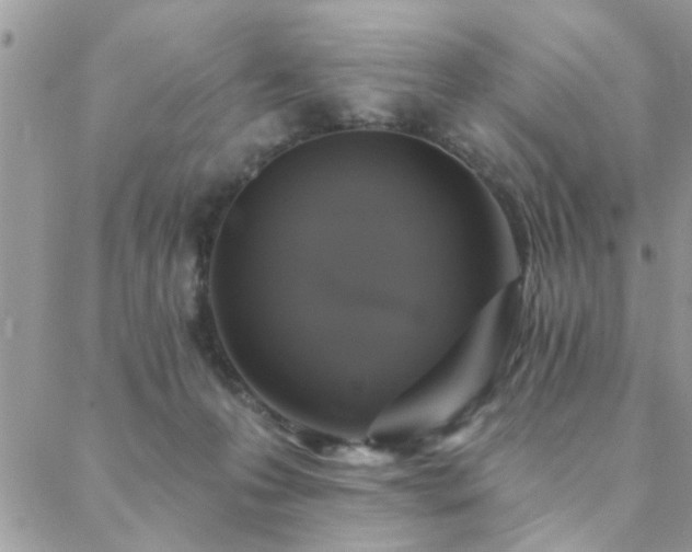 X0000088430223200705221255