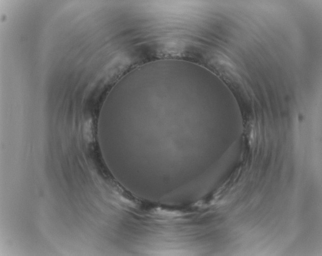 X0000088430224200705221255