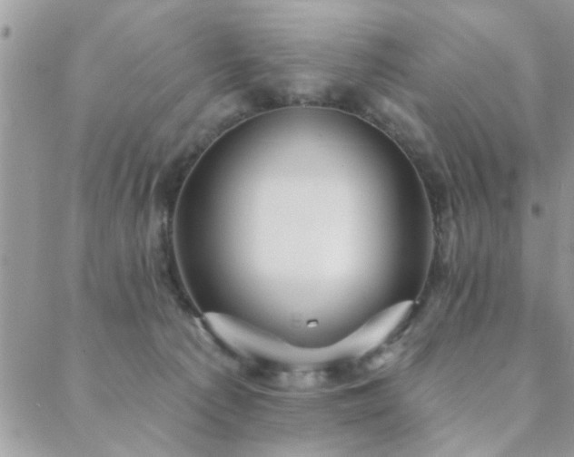 X0000088430225200705221255