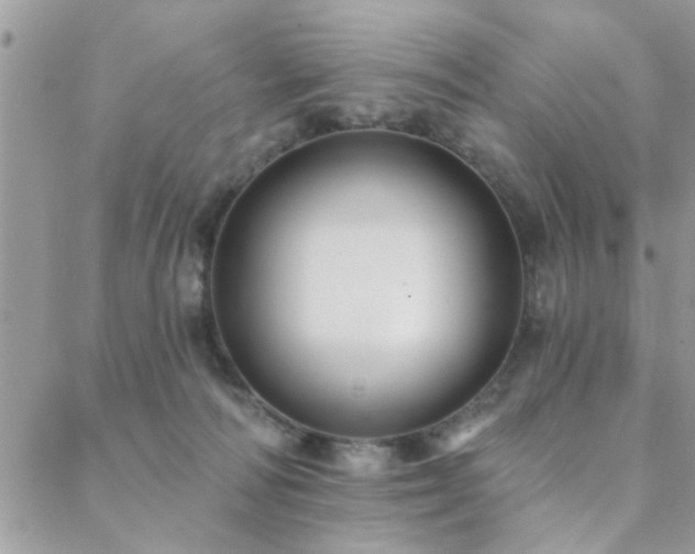 X0000088430226200705221255