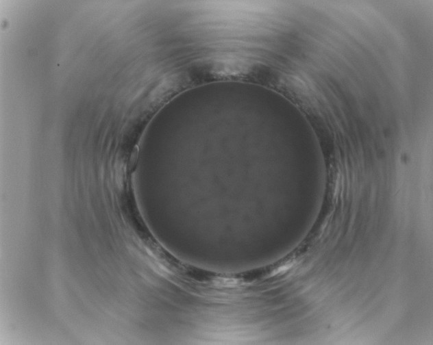 X0000088430227200705221255