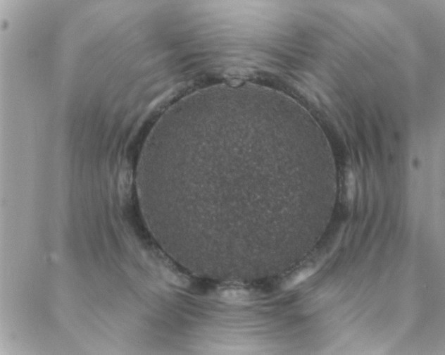 X0000088430228200705221255