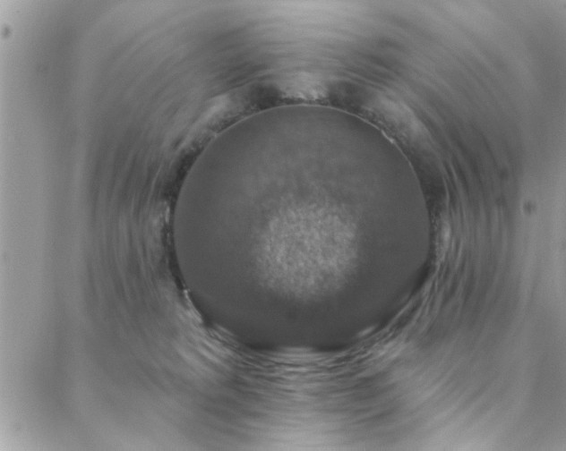 X0000088430229200705221255