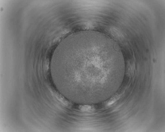 X0000088430230200705221255